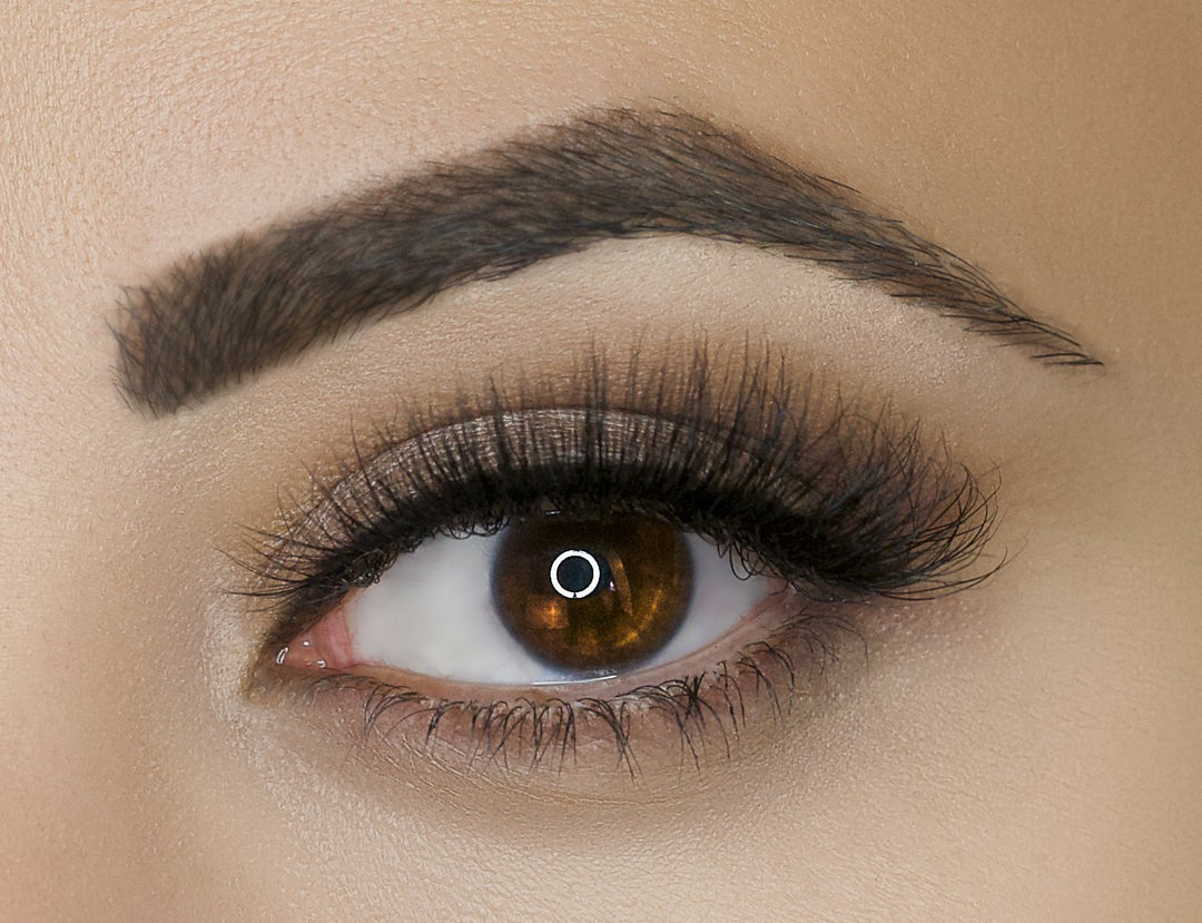 "Drama" Siberian Lashes - Elaina Badro